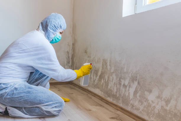 Hvac And Air Duct Mold Remediation inspection of HVAC system in Williamsburg